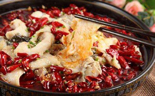 20190825162630117356.jpg 火鍋魚4.jpg