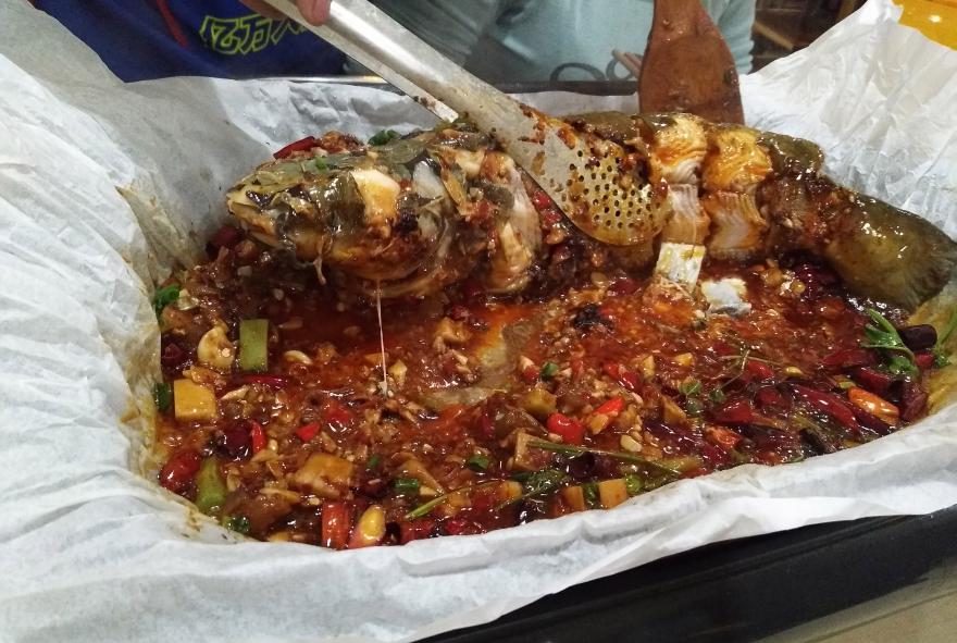 20210811174841478986.jpg 20210811174841478986.jpg