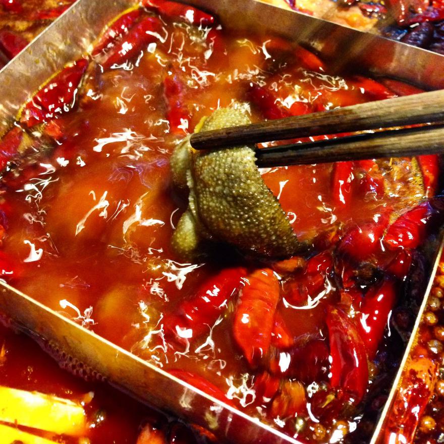 20251224170748915888.jpg 20251224170748915888.jpg